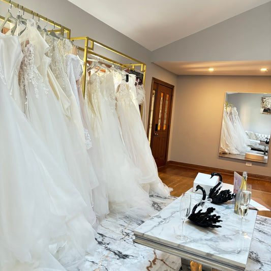 BRIDAL GOWN FIRST CONSULTATION